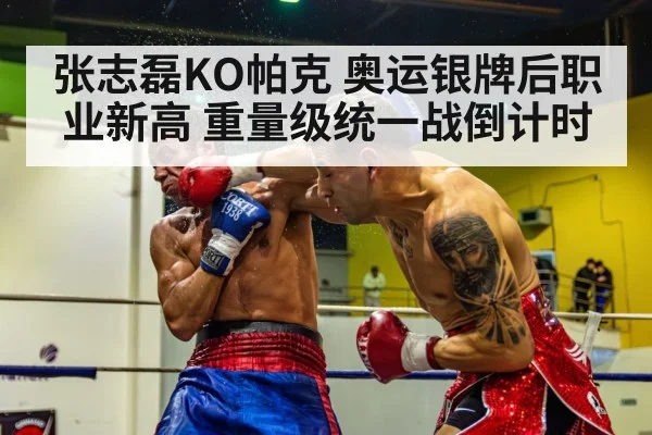 张志磊KO帕克 奥运银牌后职业新高 重量级统一战倒计时（jiuyou game）