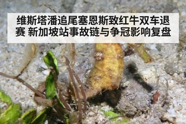 维斯塔潘追尾塞恩斯致红牛双车退赛 新加坡站事故链与争冠影响复盘（jiuyou game）